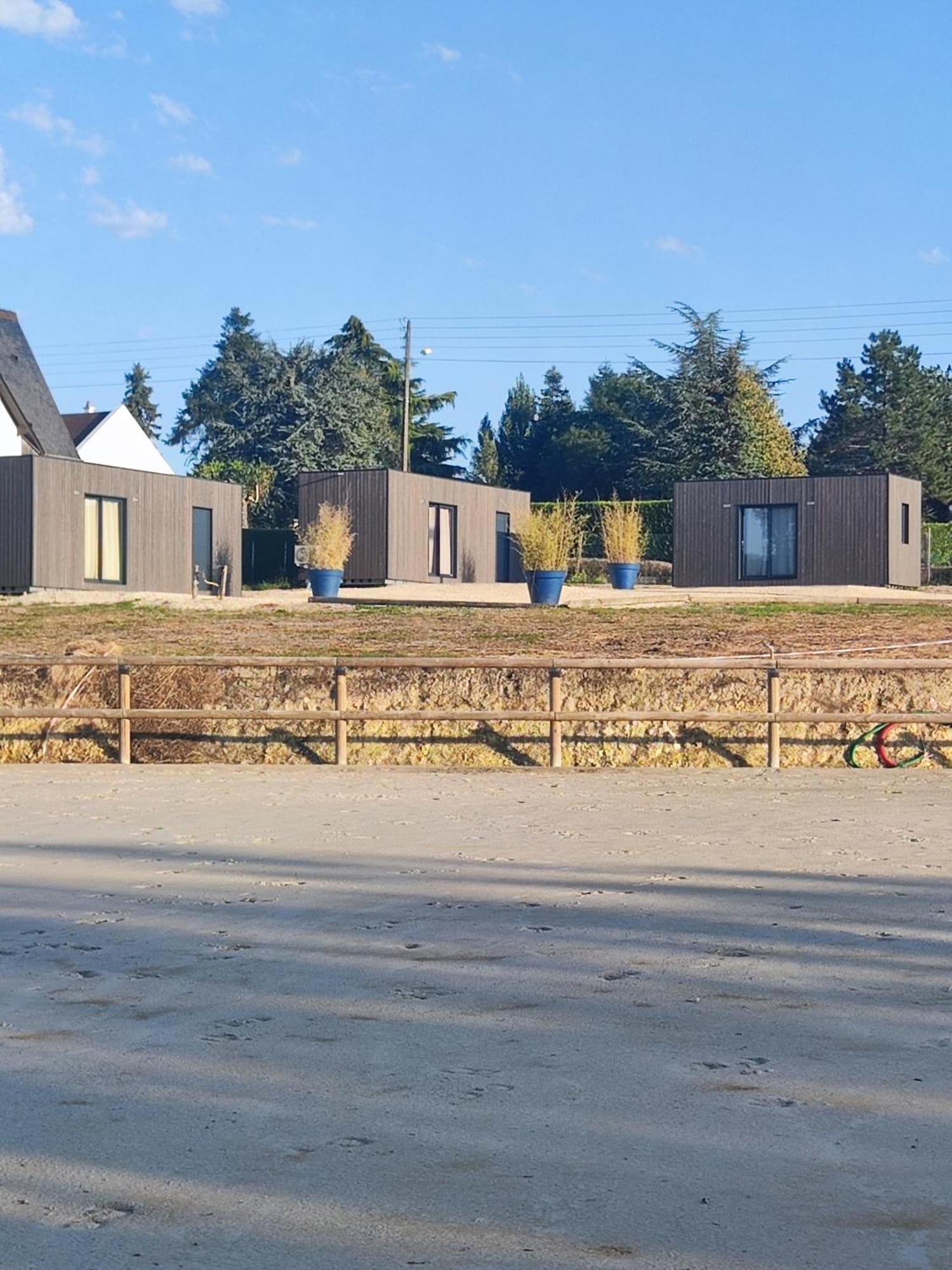 Domaine Du Moulin Neuf Aux Portes De Beauval Nouans-les-Fontaines Extérieur photo
