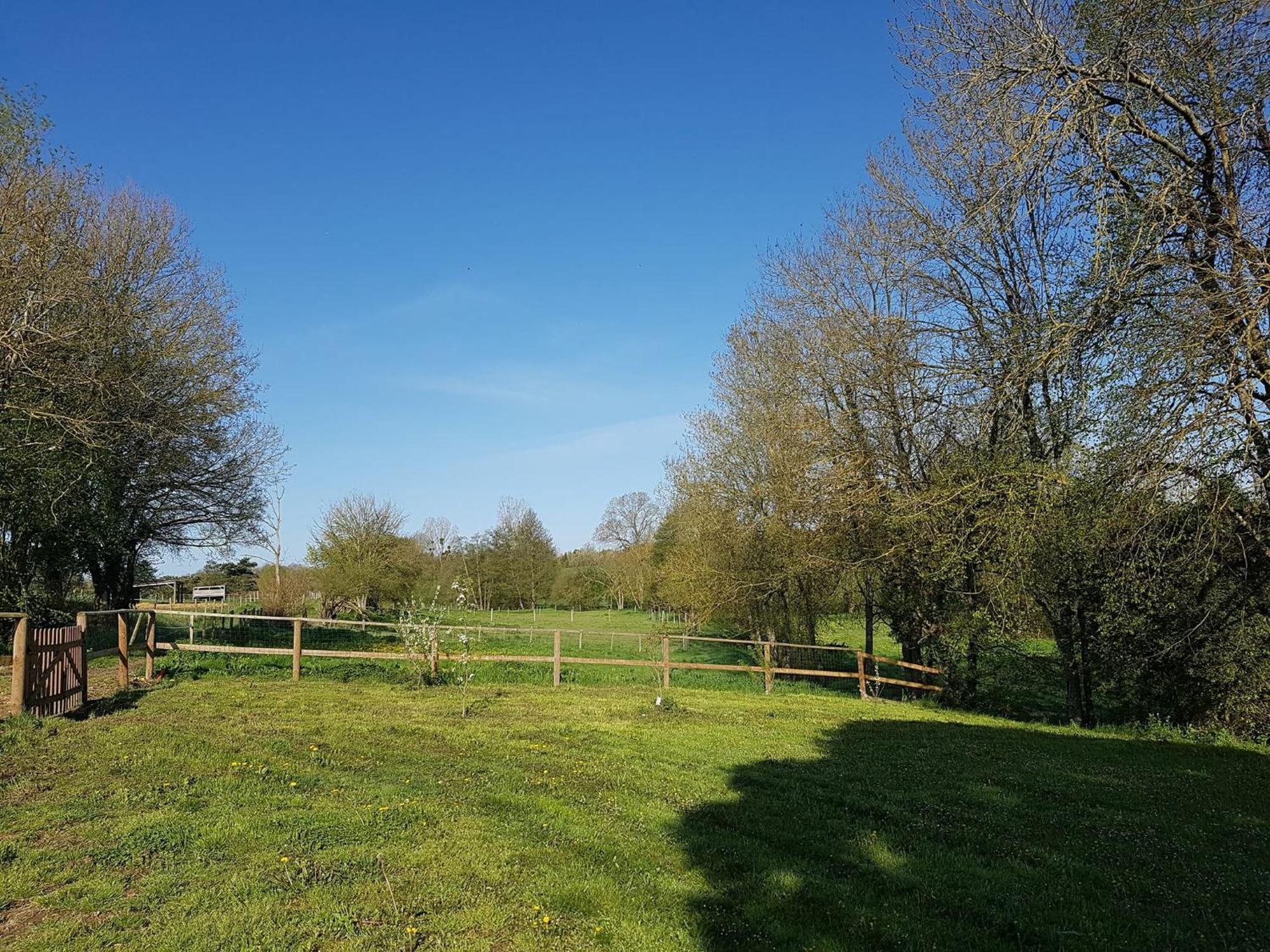 Domaine Du Moulin Neuf Aux Portes De Beauval Nouans-les-Fontaines Extérieur photo