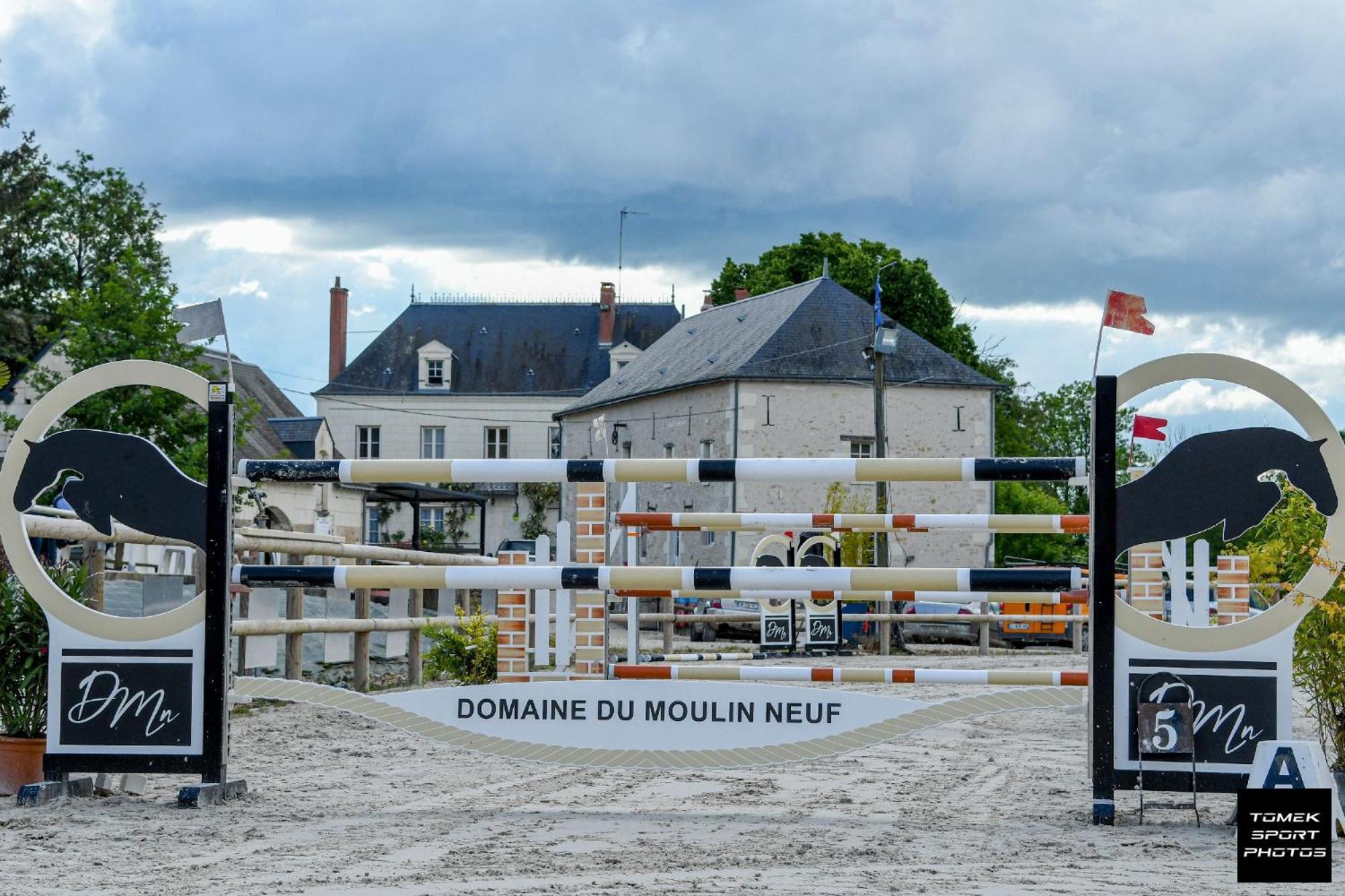 Domaine Du Moulin Neuf Aux Portes De Beauval Nouans-les-Fontaines Extérieur photo